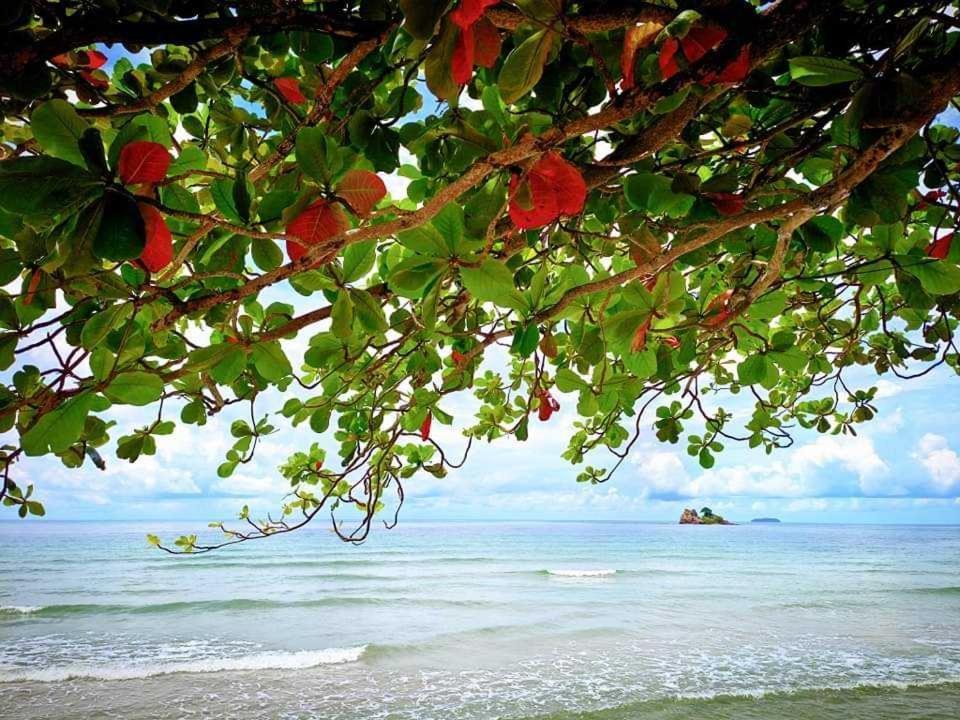 ทีพักติดหาดแหลม​แม่พิมพ์​Mantra Condo​ Rayong​ Ban Ang المظهر الخارجي الصورة
